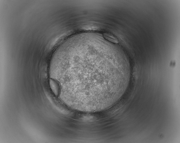 X0000112810547200909111302