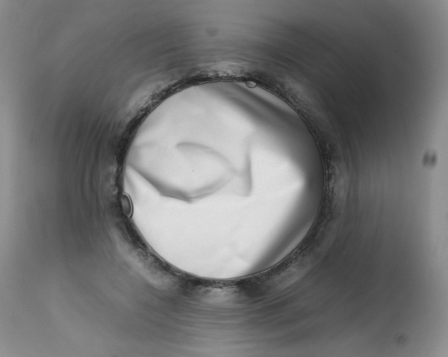 X0000112810548200909111302