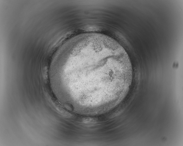 X0000112810549200909111302