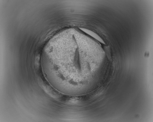 X0000112810550200909111302