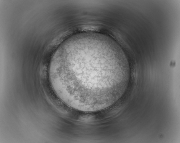 X0000112810551200909111302