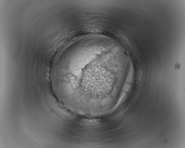 X0000112810553200909111302