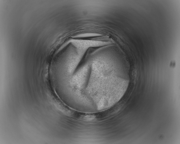 X0000112810554200909111302