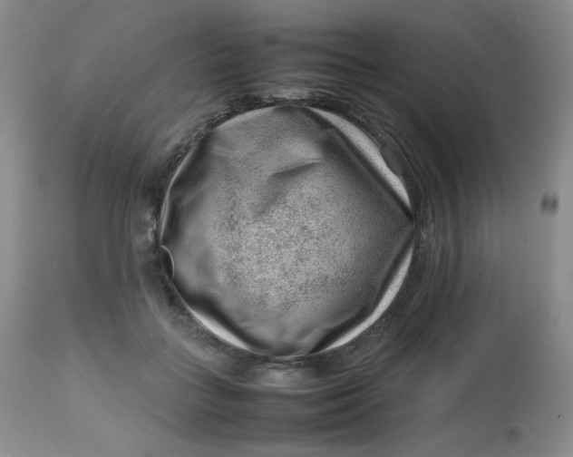 X0000112810555200909111302