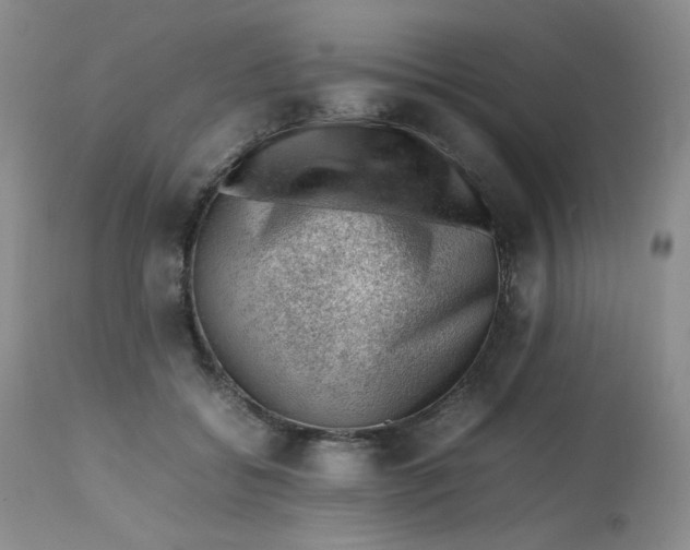 X0000112810556200909111302