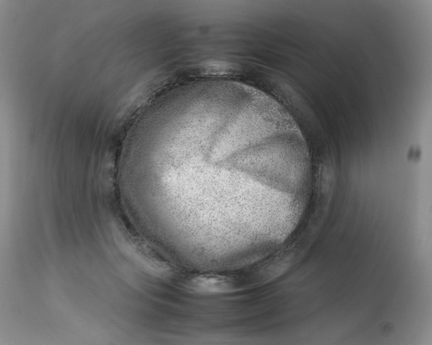 X0000112810557200909111302