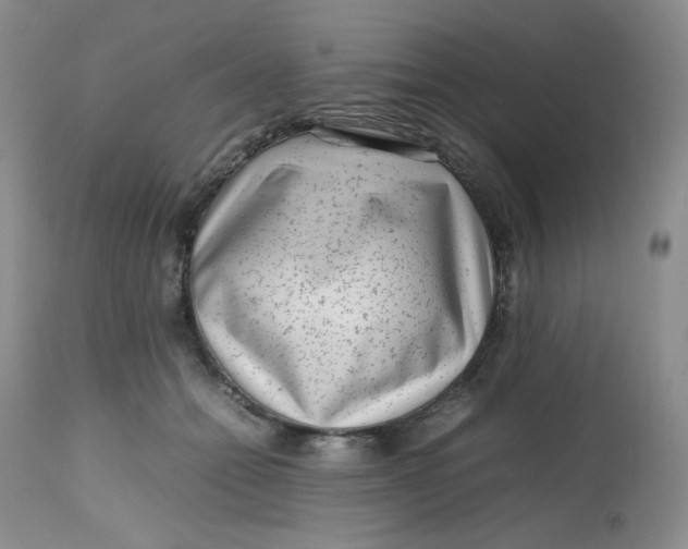 X0000112810558200909111302