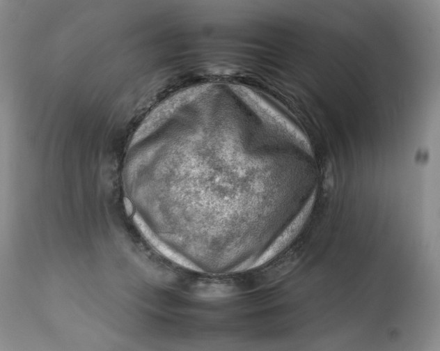 X0000112810559200909111302