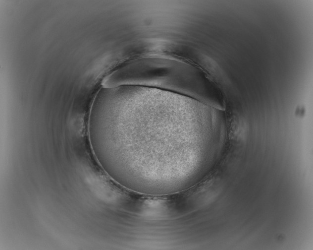 X0000112810560200909111302