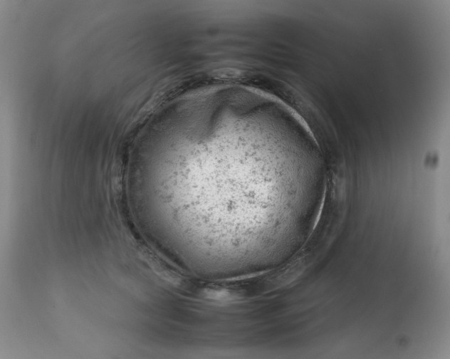 X0000112810561200909111302