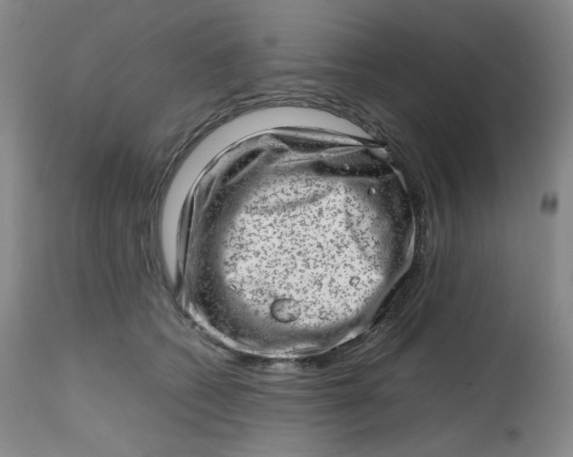 X0000112810562200909111302