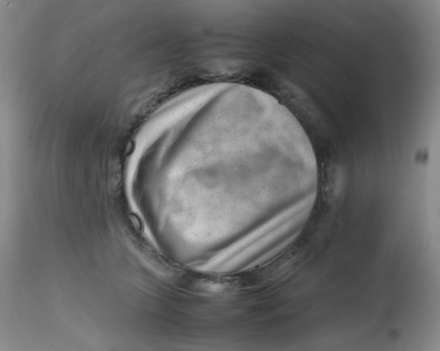 X0000112810563200909111302