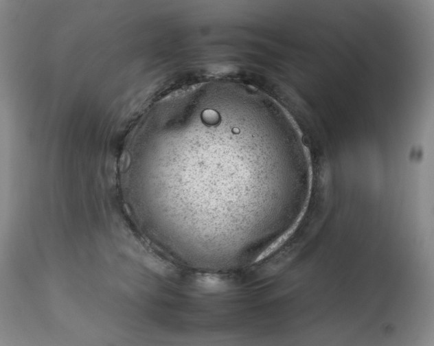 X0000112810565200909111302