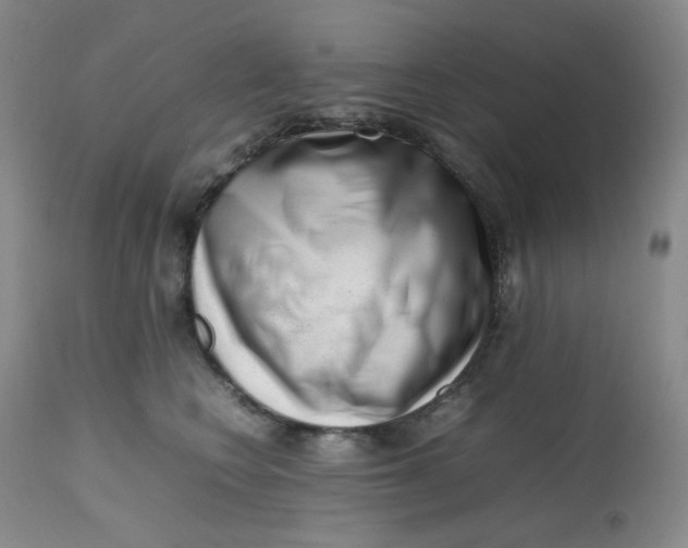 X0000112810566200909111302