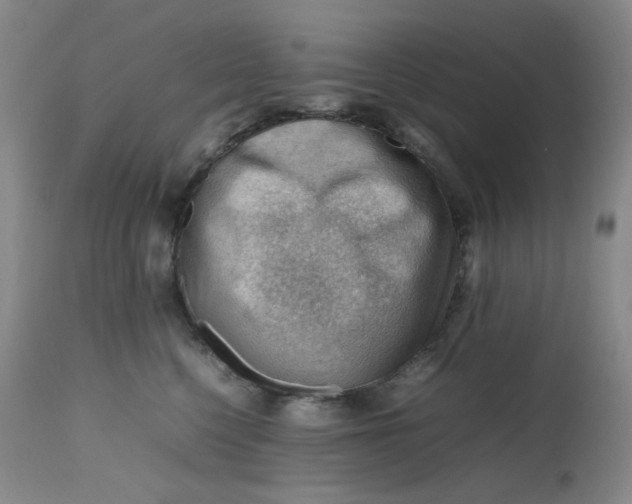 X0000112810568200909111302