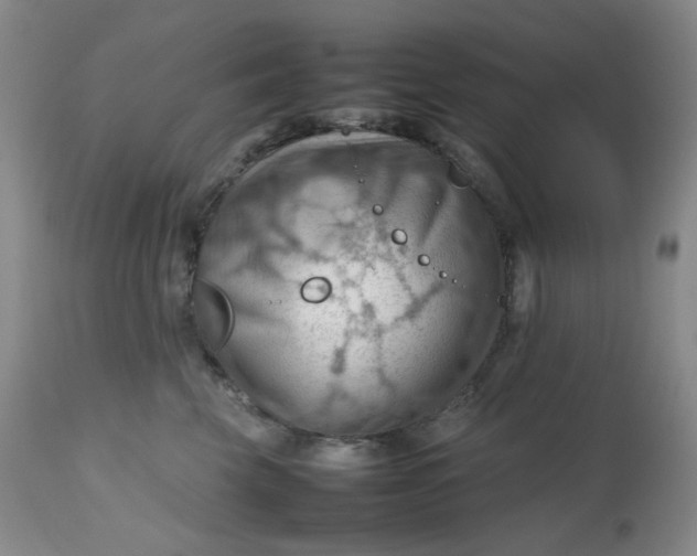 X0000112810569200909111302