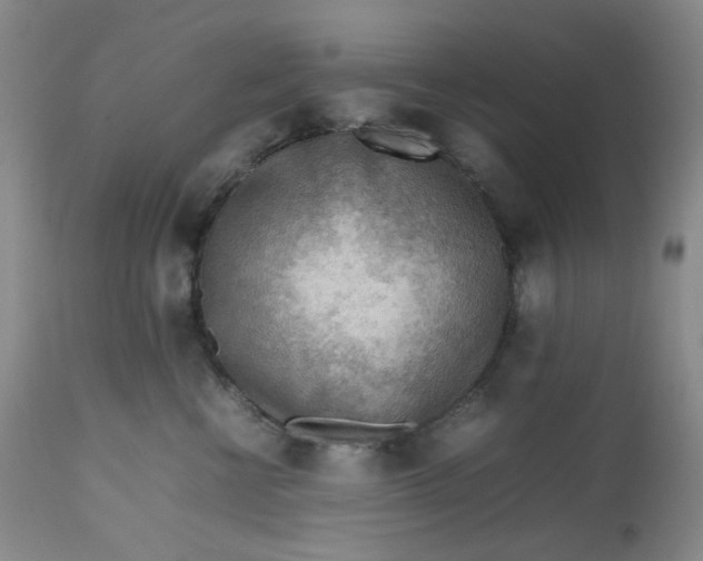 X0000112810570200909111302