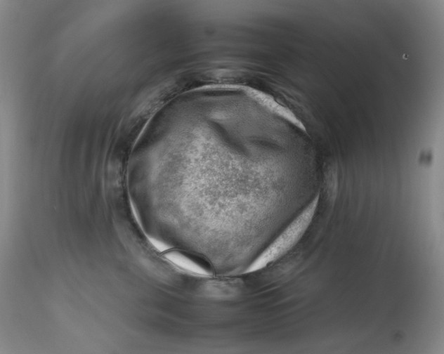 X0000112810571200909111302