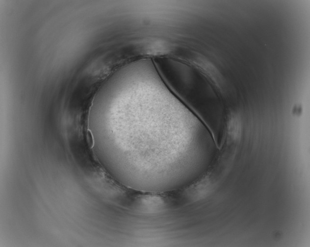 X0000112810572200909111302