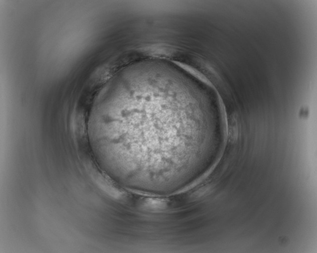 X0000112810573200909111302