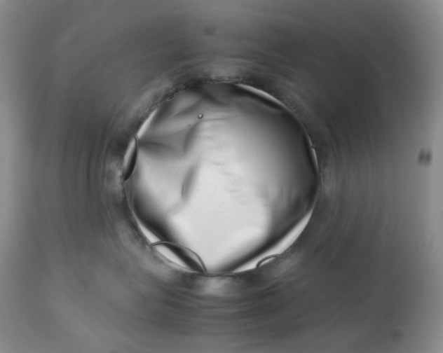 X0000112810575200909111302