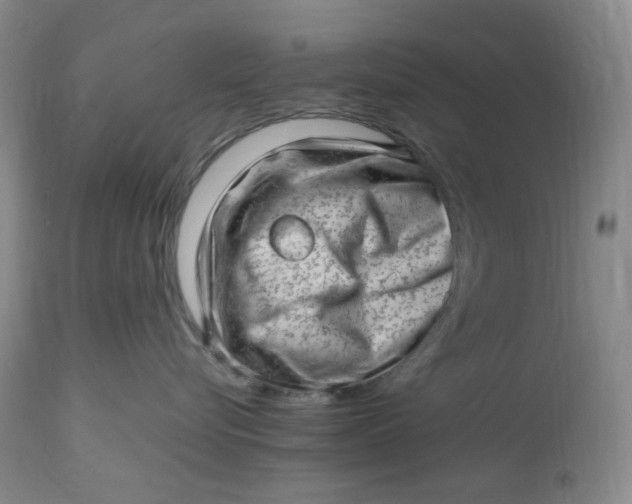 X0000112810576200909111302