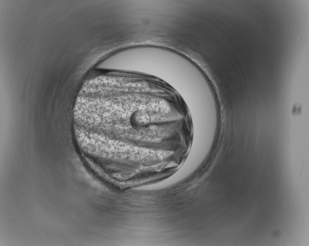 X0000112810577200909111301