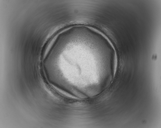 X0000112810578200909111301