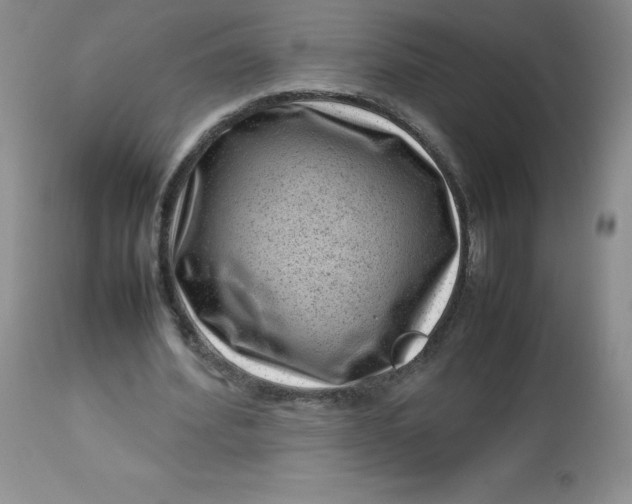 X0000112810580200909111301