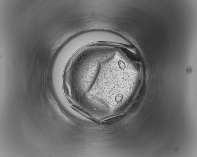 X0000112810581200909111301