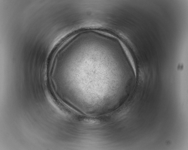 X0000112810582200909111301