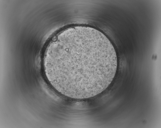 X0000112810584200909111301