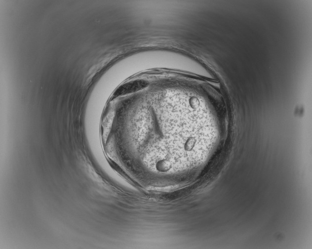 X0000112810585200909111301