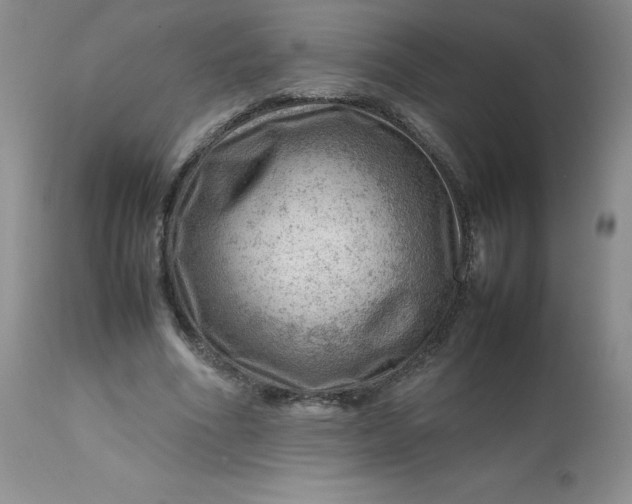 X0000112810586200909111301