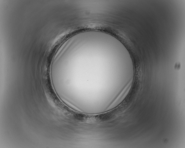 X0000112810587200909111301