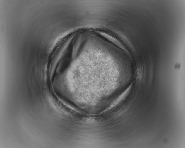 X0000112810588200909111301