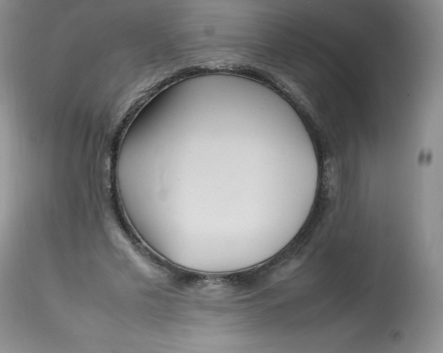 X0000112810589200909111301