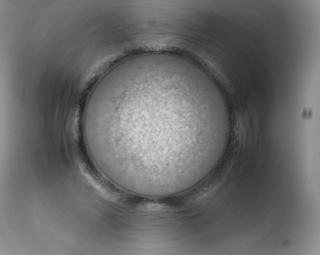 X0000112810590200909111301