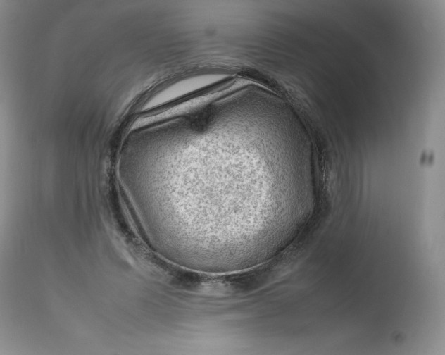 X0000112810591200909111301