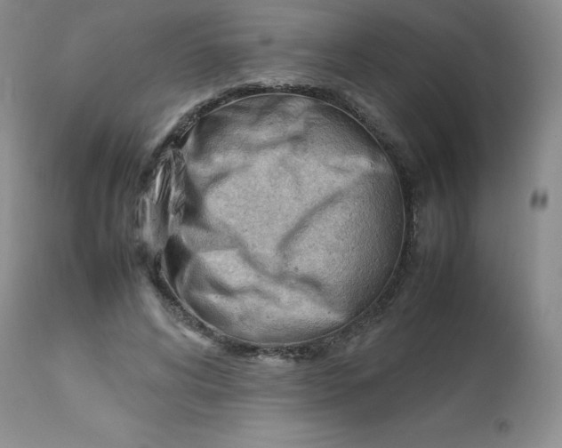 X0000112810592200909111301