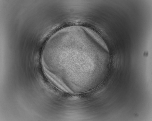 X0000112810594200909111301