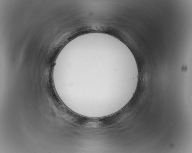 X0000112810595200909111301