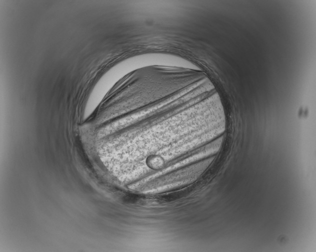 X0000112810597200909111301