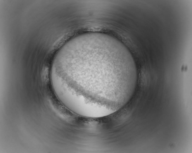 X0000112810598200909111301