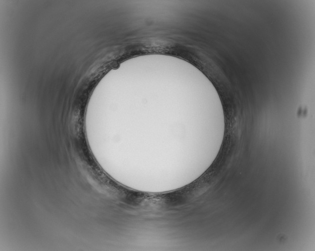 X0000112810599200909111301