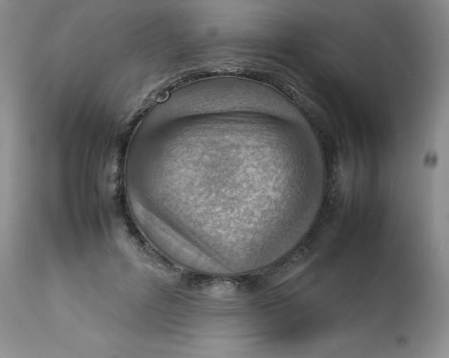 X0000112810600200909111301