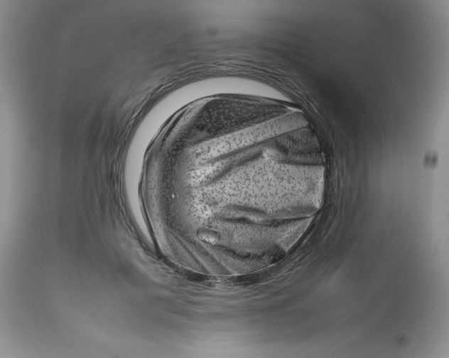 X0000112810601200909111301