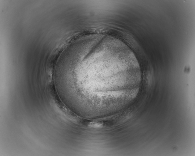 X0000112810602200909111301