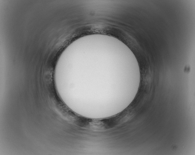 X0000112810603200909111301