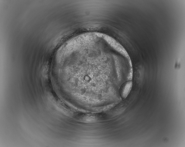 X0000112810604200909111301